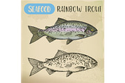 Rainbow trout sketch or coastal redband fish