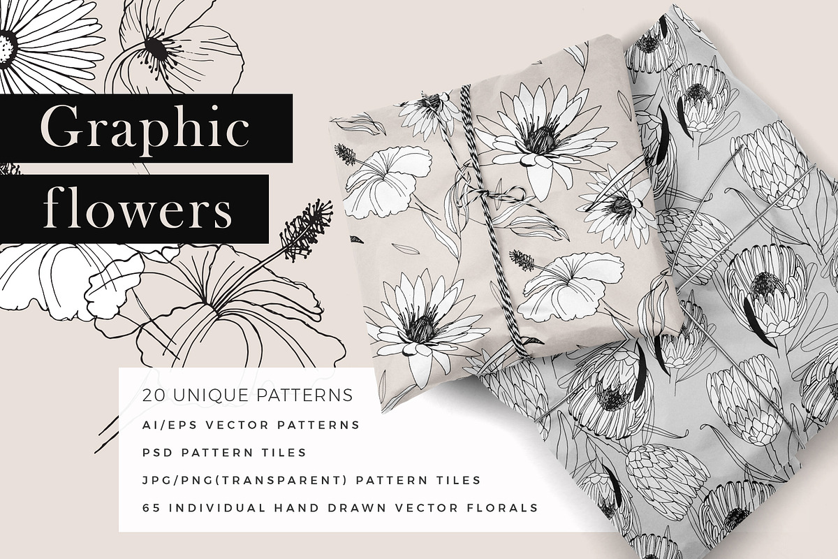Graphic Flowers Patterns & Elements in Patterns - product preview 8