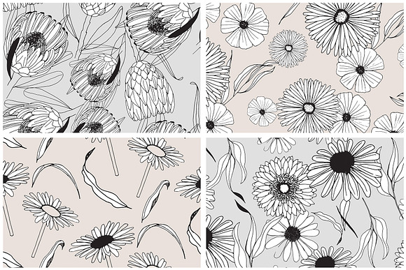 Graphic Flowers Patterns & Elements in Patterns - product preview 6