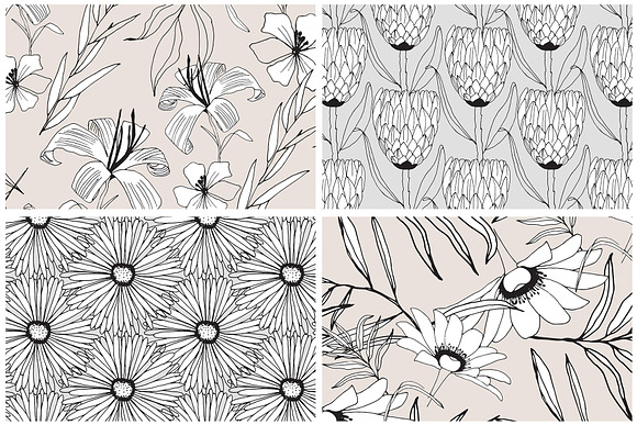Graphic Flowers Patterns & Elements in Patterns - product preview 9