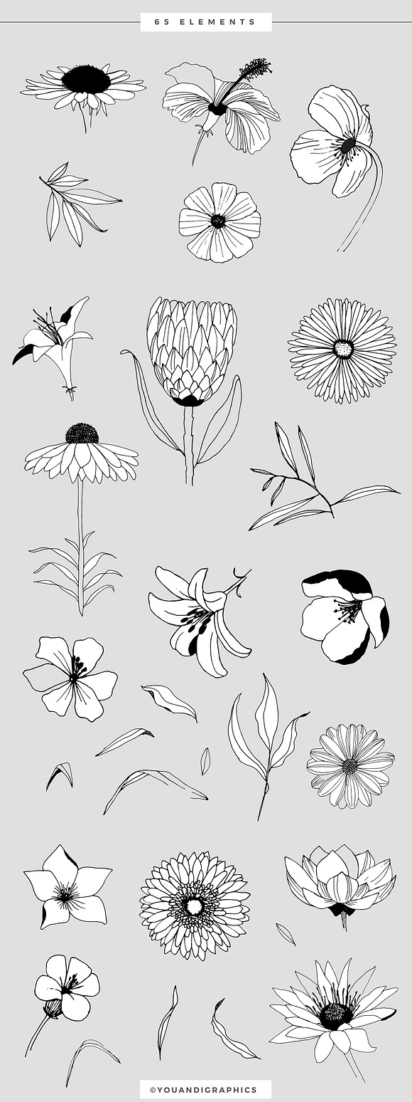Graphic Flowers Patterns & Elements in Patterns - product preview 10