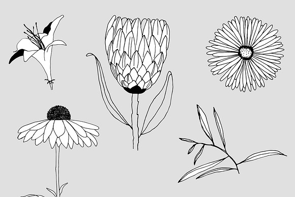 Graphic Flowers Patterns & Elements in Patterns - product preview 11