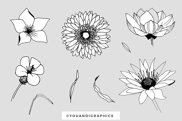 Graphic Flowers Patterns & Elements in Patterns - product preview 13