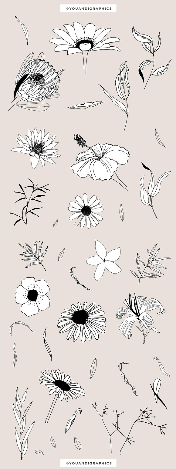 Graphic Flowers Patterns & Elements in Patterns - product preview 14