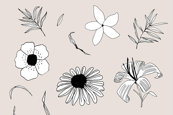 Graphic Flowers Patterns & Elements in Patterns - product preview 16