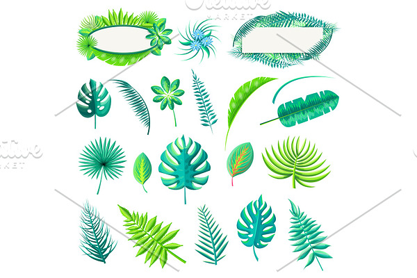 Leaf of Tropical Style Set Vector Illustration