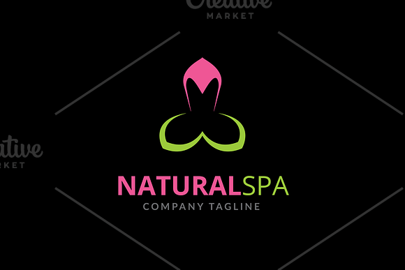 Natural Spa Logo in Logo Templates - product preview 1