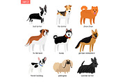 Cartoon dogs icons set