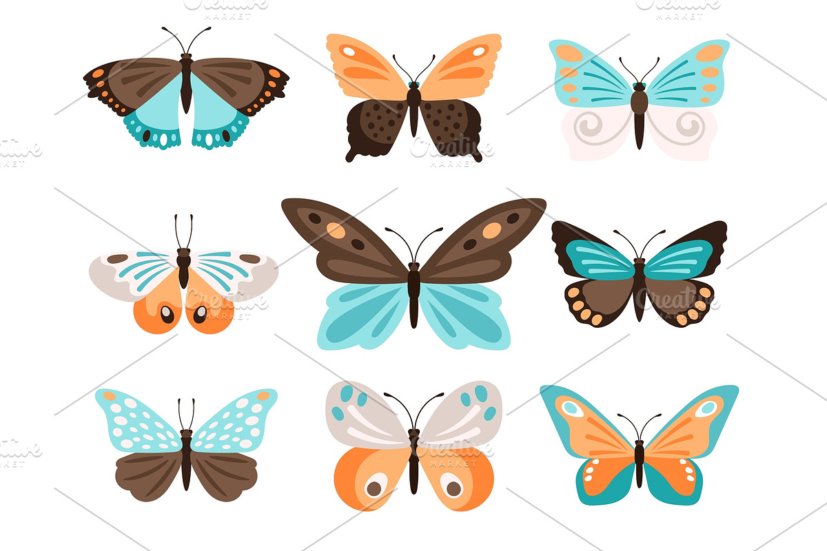 Colorful butterflies with blue orange wings in Illustrations - product preview 8