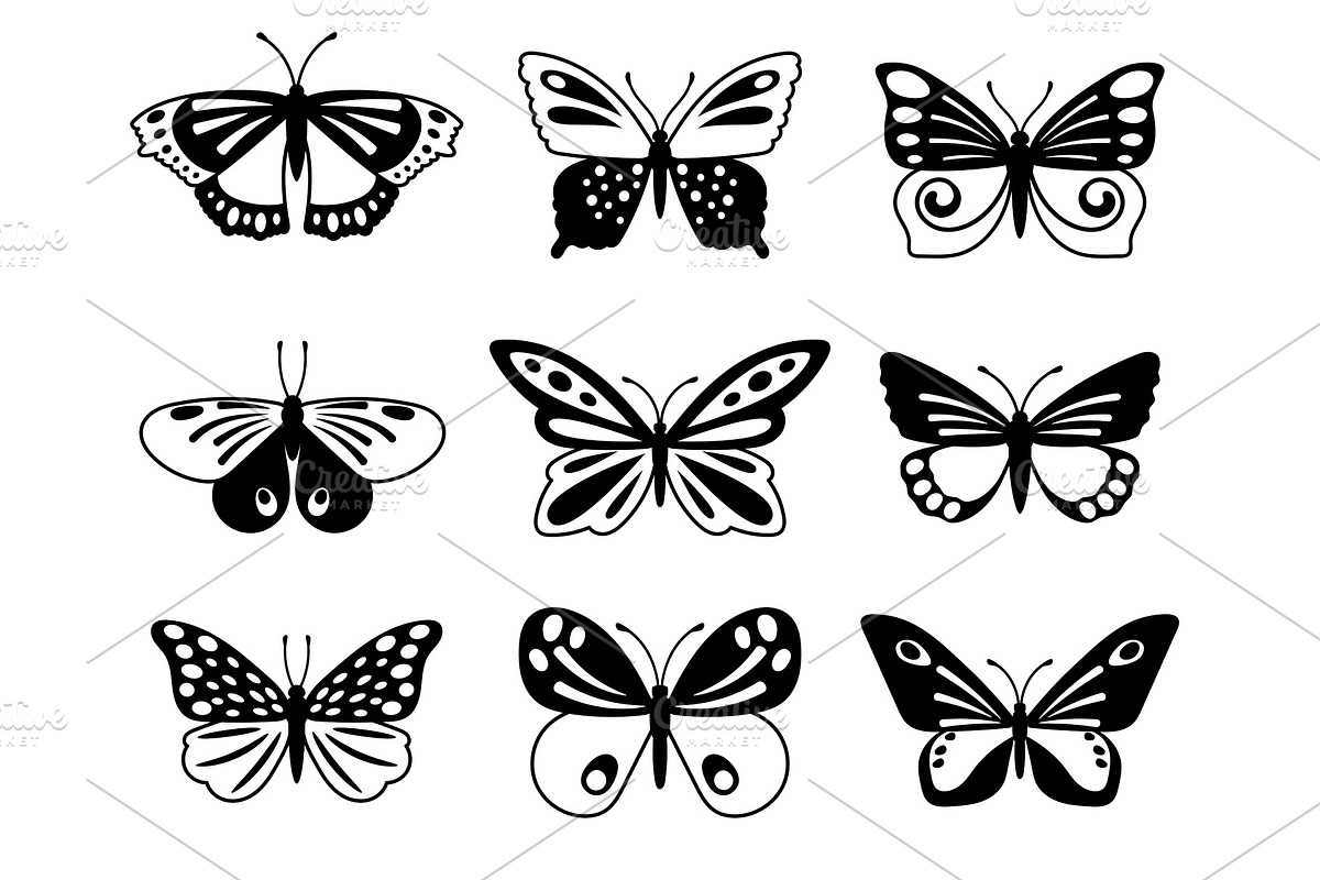 Black and white butterflies in Illustrations - product preview 8