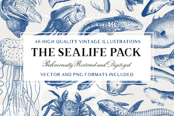 46 Vintage Sealife Illustrations