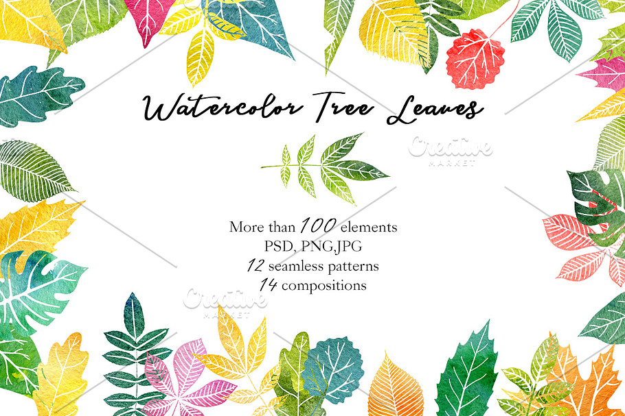 Watercolor Tree Leaves in Objects - product preview 8