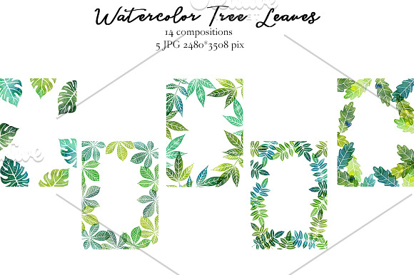 Watercolor Tree Leaves in Objects - product preview 4