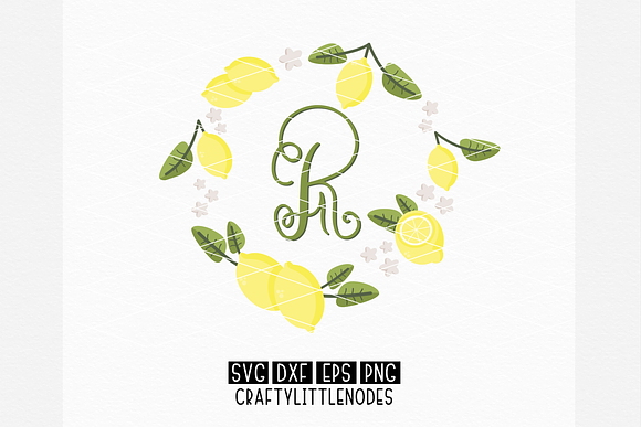 Lemons & Sunshine in Illustrations - product preview 2