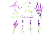 Lavender flowers and bunches set. Watercolor natural illustration of Provence herbs