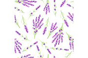 Lavender flowers seamless pattern. Watercolor natural illustration of Provence herbs