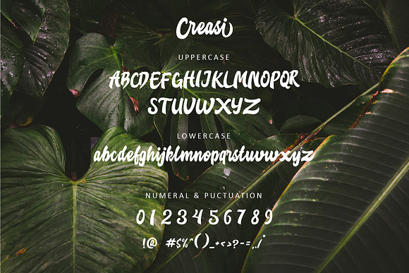 Creasi Script in Fonts - product preview 1