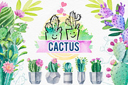 Cactus. Watercolor illustrations.