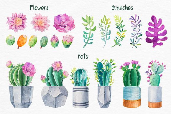 Cactus. Watercolor illustrations. in Illustrations - product preview 3
