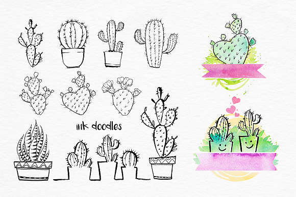 Cactus. Watercolor illustrations. in Illustrations - product preview 4