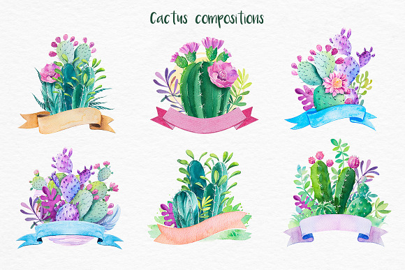 Cactus. Watercolor illustrations. in Illustrations - product preview 5