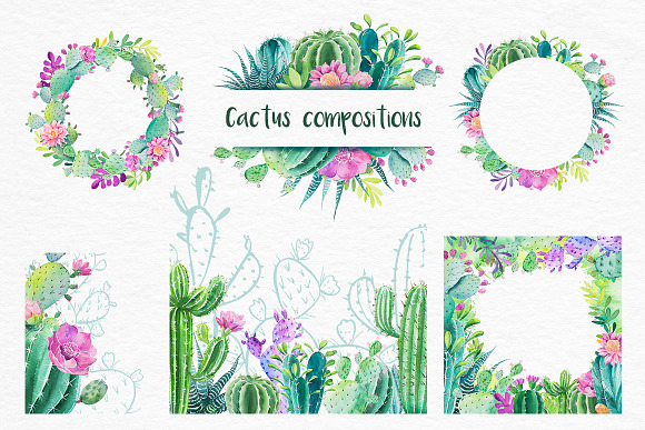 Cactus. Watercolor illustrations. in Illustrations - product preview 6