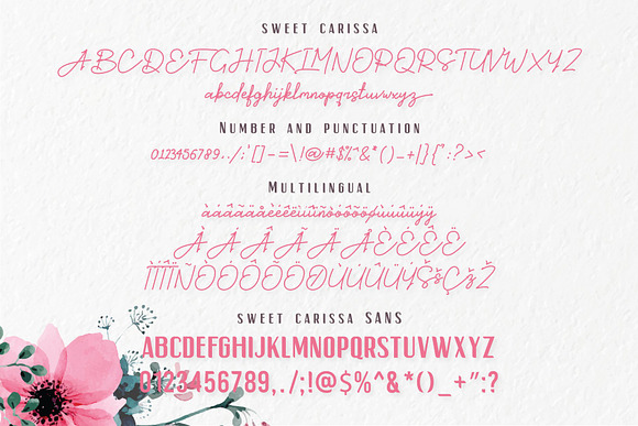Sweet Carissa - Font Duo | 20% OFF in Script Fonts - product preview 2