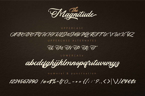 THE MAGNITUDE script in Script Fonts - product preview 7