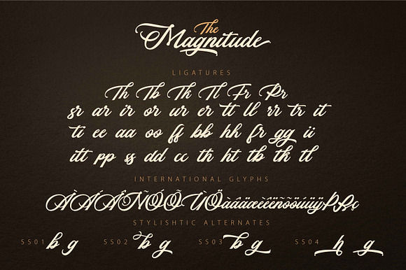 THE MAGNITUDE script in Script Fonts - product preview 8