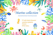 Marine collection Watercolor