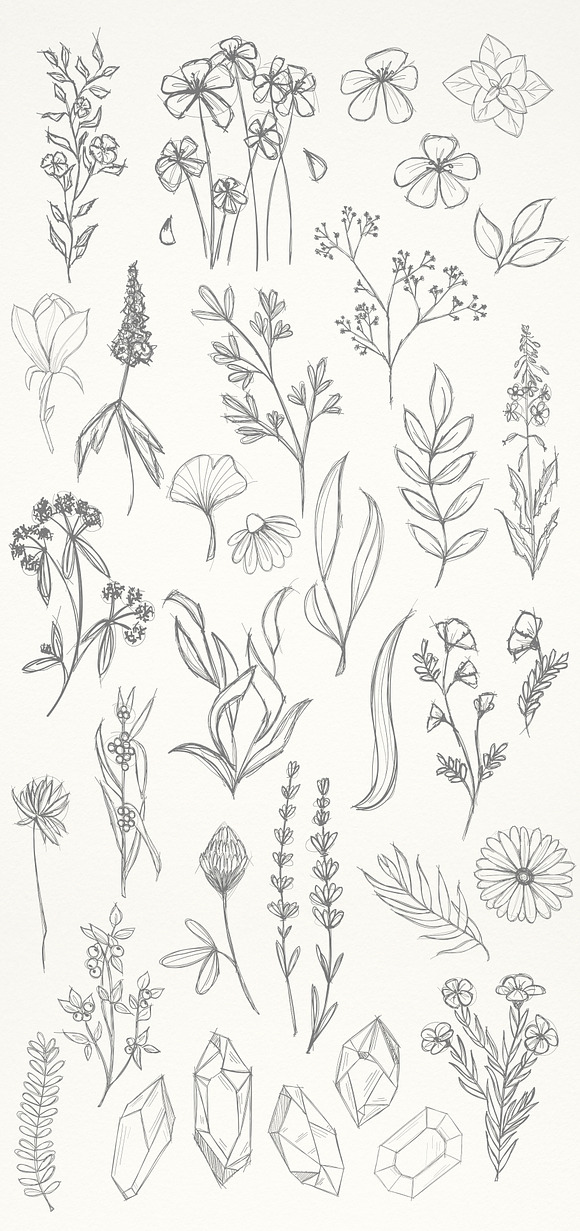 Artistic Florals & Crystals in Illustrations - product preview 8