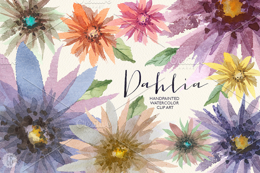 Aquarelle dahlia flowers