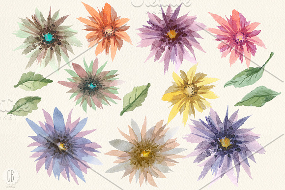 Aquarelle dahlia flowers in Illustrations - product preview 1
