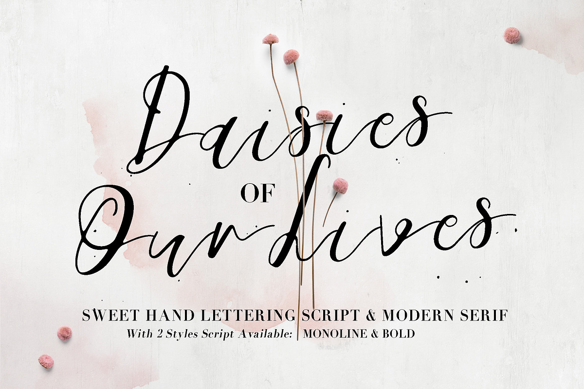 Daisies of Our Lives in Script Fonts - product preview 8