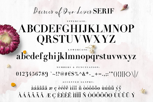 Daisies of Our Lives in Script Fonts - product preview 2