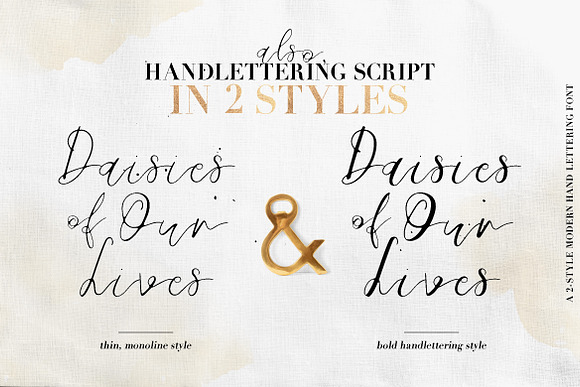 Daisies of Our Lives in Script Fonts - product preview 3