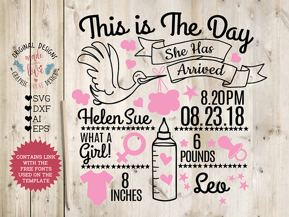 Baby Girl Birth Announcement - Chart in Illustrations - product preview 1