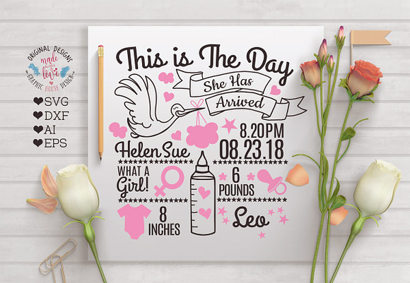 Baby Girl Birth Announcement - Chart in Illustrations - product preview 2