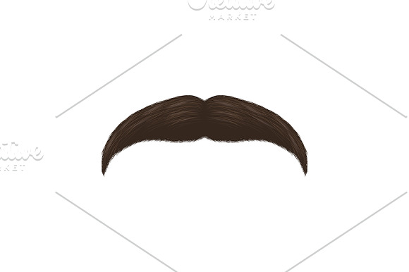 Fake Mustaches. Vector in Objects - product preview 2