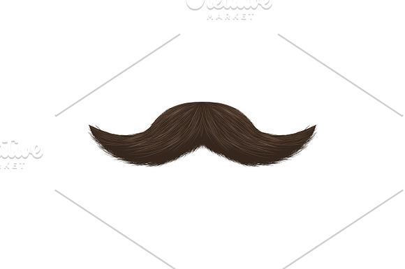 Fake Mustaches. Vector in Objects - product preview 3