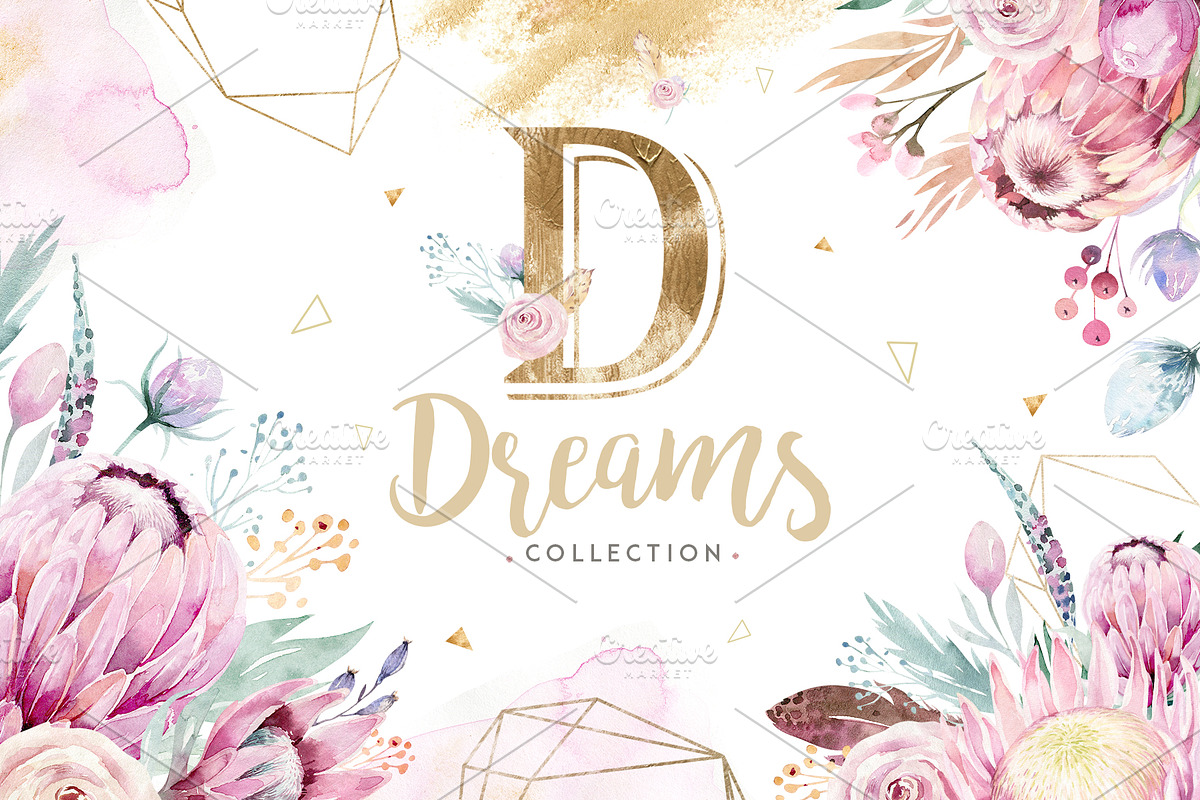 Dreams collection. Gold protea in Illustrations - product preview 8