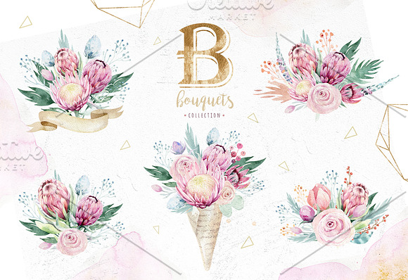 Dreams collection. Gold protea in Illustrations - product preview 2
