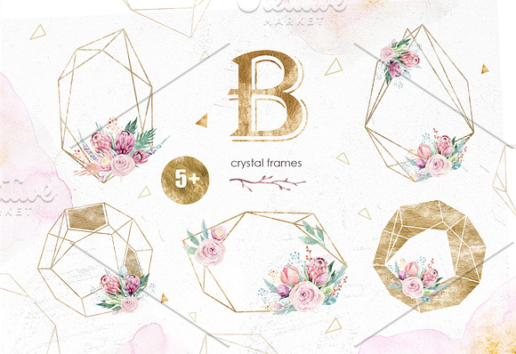 Dreams collection. Gold protea in Illustrations - product preview 4