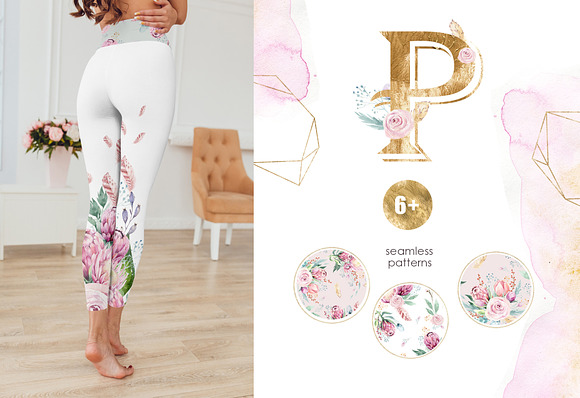 Dreams collection. Gold protea in Illustrations - product preview 7