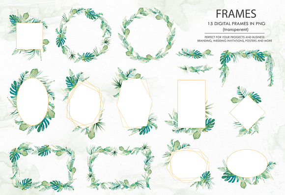 Greenery clip art. Watercolor in Illustrations - product preview 1
