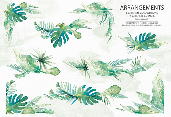 Greenery clip art. Watercolor in Illustrations - product preview 2