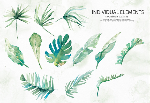 Greenery clip art. Watercolor in Illustrations - product preview 3