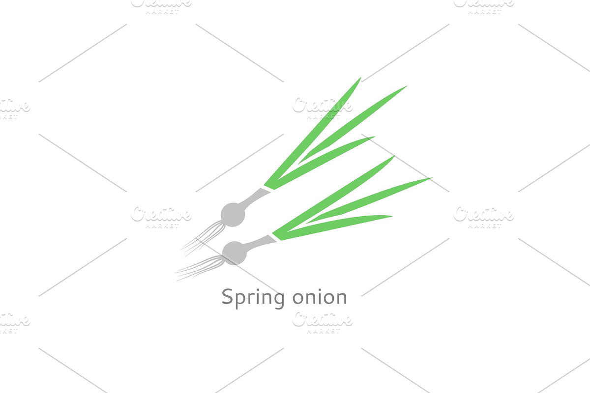 A badge of green onions. Isolated vegetable linear style for menu, label, logo. in Objects - product preview 8