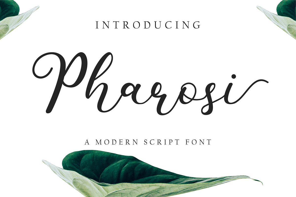 Pharosi Modern Script Font in Script Fonts - product preview 8