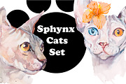 Watercolor Sphynx Cats Set